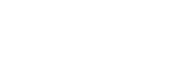 Arizona Lyme disease Association